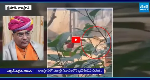  Leopard Enters MINISTERS House in Jaipur  1