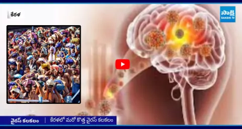 Kerala Govt Alert To Ayyappa Devotees About Brain Eating Amoeba  1