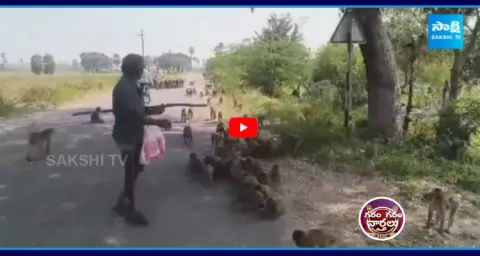 Gaddam Komaraiah Innovative Plan To Protect Crops From Monkeys 1