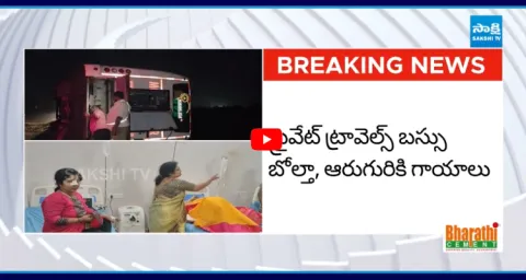 Private Travels Bus Overturns In Tirupati District 1