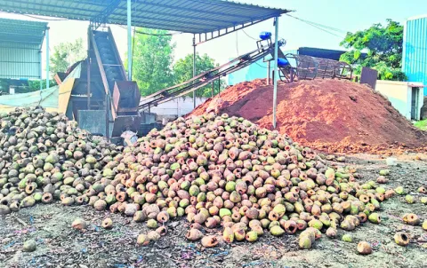 వ్యర్థాలతో ఆదాయ మార్గం