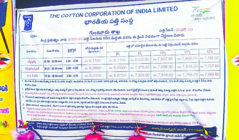 పత్తి కొనుగోళ్లలో నిబంధనాలు