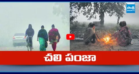 Cold Wave Hits Andhra Pradesh And Telangana  1