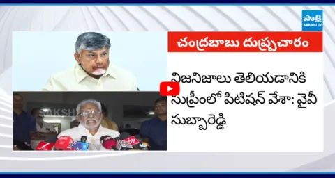 YV Subba Reddy Fire On Chandrababu And Yellow Media Over Fake News  1