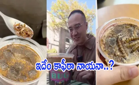 China museum serves unusual cockroach coffee brew for Rs. 542