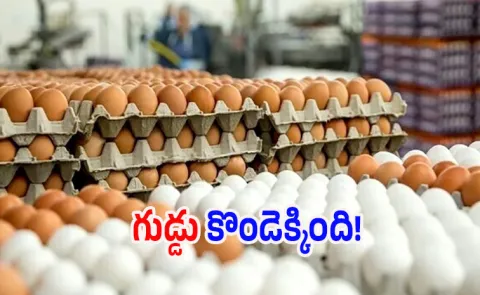 Egg Prices Hit AllTime HighAs Supply Shrinks Winter Demand Surges