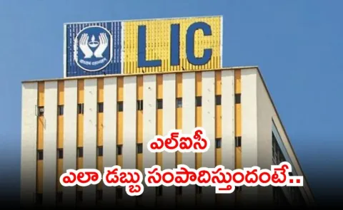 how many Ways LIC Earns Money check list4