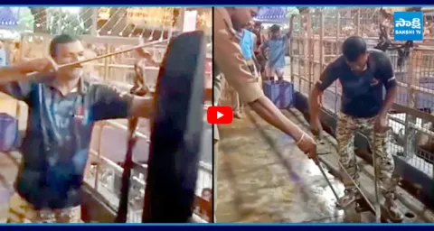 King Cobra Spotted at Sabarimalas Forest Team Captures Snake Swiftly 2