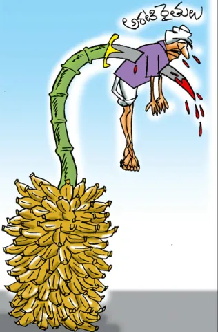Sakshi Cartoon 22-11-2025