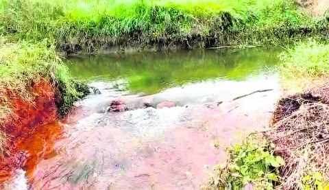 తెలుగుగంగ ఉప కాల్వకు గండి 