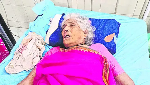 స్కార్పియో బోల్తా పడి వృద్ధురాలి మృతి 