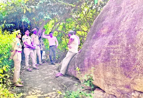 పర్యాటక అభివృద్ధికి కృషి
