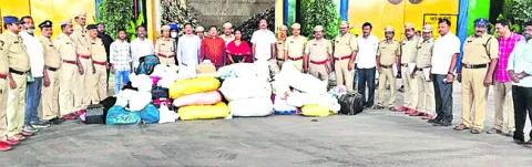 నెల్లూరు జిల్లాలో పట్టుబడిన గంజాయి ధ్వంసం 