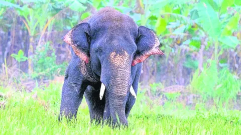 కనిపించని హరి.. 