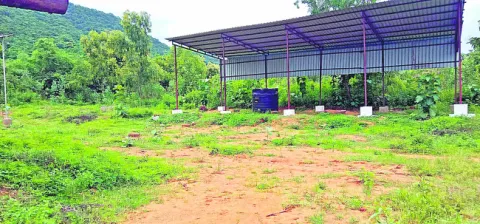 చంద్రబాబు పాలనలో.. తీరని గజ వేదన