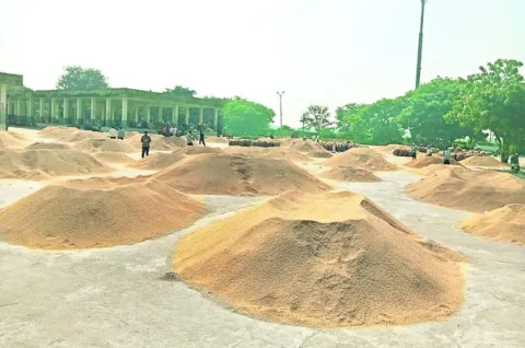 సూర్యాపేట మార్కెట్‌కు  40,659 బస్తాల ధాన్యం రాక