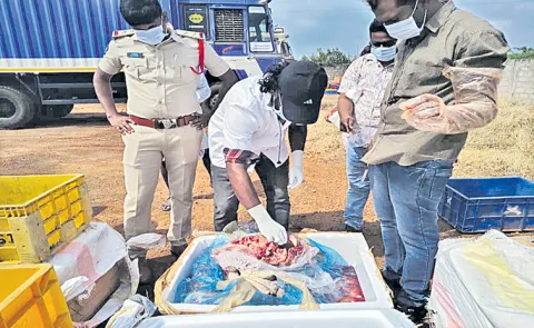 550 kg of beef seize Meat seized in Private Travels Bus