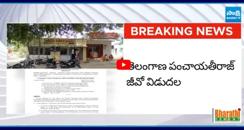 Telangana Panchayat Elections GO 46 Released 1