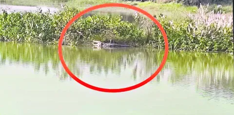 రేషన్‌ బియ్యం స్వాధీనం   