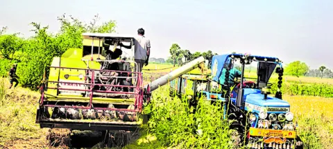 యంత్రాల కోతవైపే రైతుల మొగ్గు 