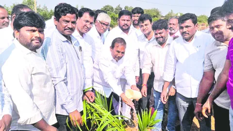 ఆయిల్‌పామ్‌ సాగుతో ఆర్థిక భరోసా