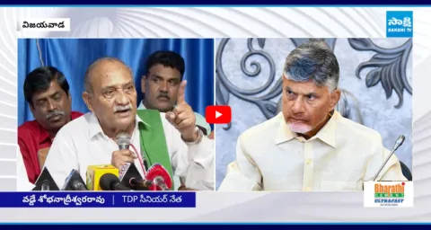 TDP Leader Vadde Sobhanadreeswara Rao Slams Chandrababu 1