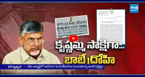 Chandrababu Govt Utter Flop In Krishna Water Tribunal Issue 1