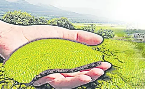 1,300 Acres of Urban Public Lands Set for PPP Transfer