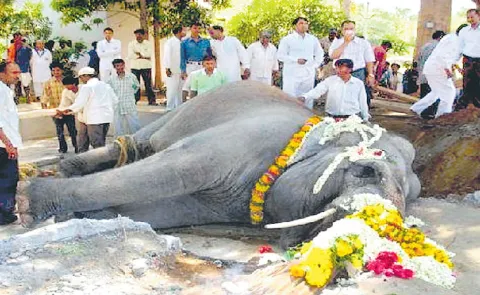 Sri Sathya Sai Baba pet elephant, Sai Geeta