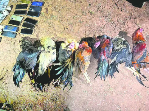 హోటల్‌కు రూ.50 వేల జరిమానా 
