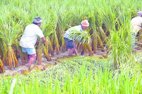 ఏం చేశారని మాకోసం?