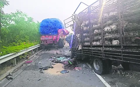 సడన్‌ బ్రేక్‌ వేయడంతో ప్రమాదం