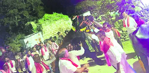 ● సదర్‌.. అదుర్స్‌ 