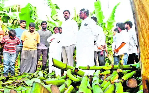 రైతులపై చిత్తశుద్ధిలేని ప్రభుత్వం 