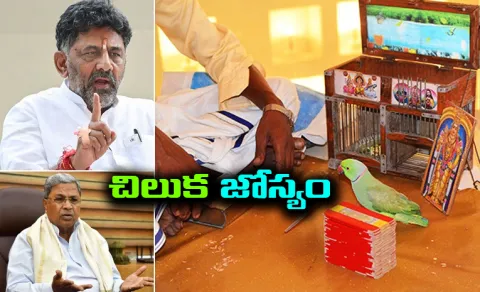 Parrot Astrology in Karnataka Politics