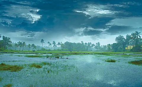 Light to moderate rains likely in some districts of the state