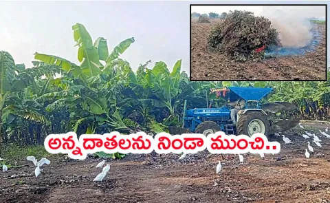 Chandrababu Cheated Farmers: Started Another New Drama