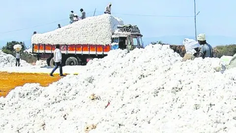 ఎకరాకు 11.77 క్వింటాళ్లు