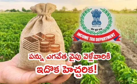 Agricultural Income and Tax Burden Calculation2