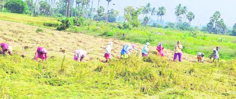 అన్నదాతకు తుపాను గండం 