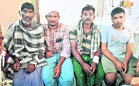 లైంగికదాడి కేసులో ముద్దాయికి 12 ఏళ్ల జైలు