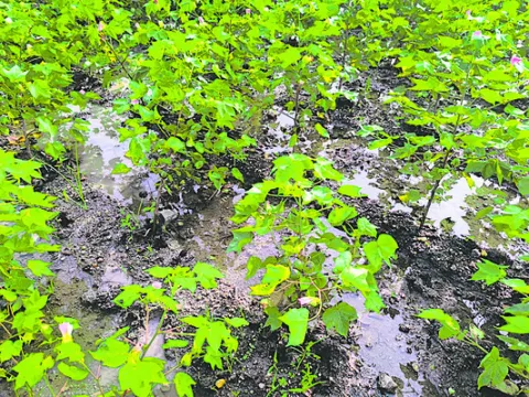 పైసా పరిహారం ఇస్తే ఒట్టు ..! 