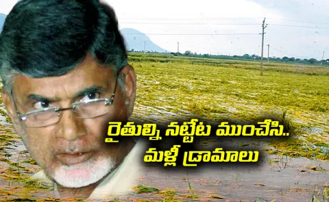 Special Story On Chandrababu Drama Over Farmers Promises