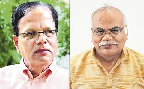 Environmentalists on the decision to implement Hilt P