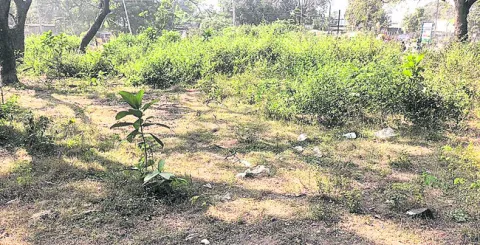 సింగరేణి పెట్రోల్‌బంక్‌లు