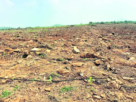 యథేచ్ఛగా భూముల కబ్జా 