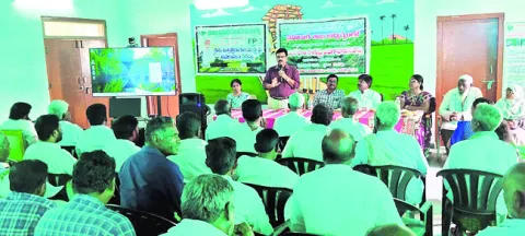 ఆయిల్‌పాం సాగు లాభదాయకం 
