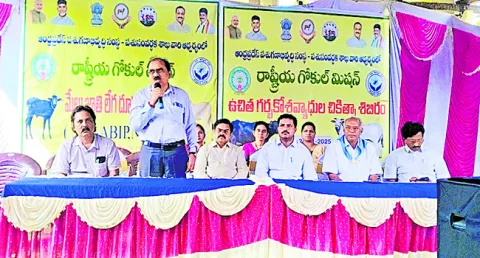 మేలు జాతి పశువులతో అధిక ఆదాయం 