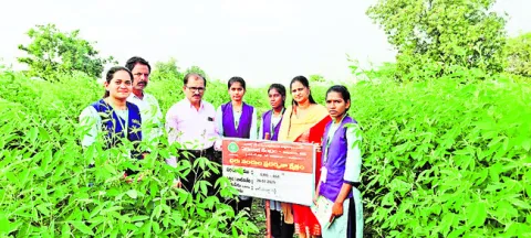 శాసీ్త్రయ పద్ధతిలో వ్యవసాయం మేలు 