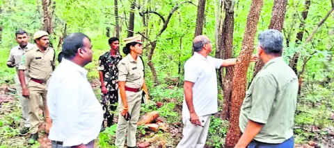 ఎర్రచందనం జోలికి వస్తే ఎంతటి వారైనా ఉపేక్షించం 